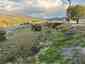 Pocatello Real Estate - MLS #575938 - Photograph #5