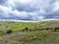 Pocatello Real Estate - MLS #576335 - Photograph #4