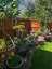 Pocatello Real Estate - MLS #578764 - Photograph #30