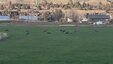 Pocatello Real Estate - MLS #578824 - Photograph #25