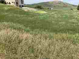 Tbd Lot #25 Bailey Creek, Soda Springs, Idaho