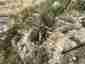 Pocatello Real Estate - MLS #578893 - Photograph #8