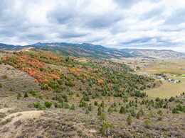 Pocatello Real Estate - MLS #578912 - Photograph #1