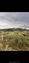 Pocatello Real Estate - MLS #579171 - Photograph #3
