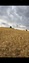 Pocatello Real Estate - MLS #579171 - Photograph #7