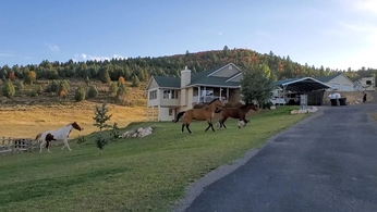 Pocatello Real Estate - MLS #579229 - Photograph #1