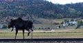 Pocatello Real Estate - MLS #579229 - Photograph #31
