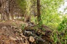 Pocatello Real Estate - MLS #579504 - Photograph #9
