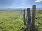 Pocatello Real Estate - MLS #579609 - Photograph #35
