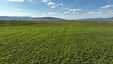 Pocatello Real Estate - MLS #579616 - Photograph #18