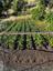 Pocatello Real Estate - MLS #579623 - Photograph #48