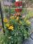 Pocatello Real Estate - MLS #579623 - Photograph #49