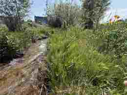 Malad City Idaho Real Estate