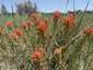 Pocatello Real Estate - MLS #579646 - Photograph #3