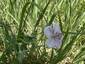 Pocatello Real Estate - MLS #579646 - Photograph #4