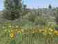 Pocatello Real Estate - MLS #579646 - Photograph #7