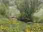 Pocatello Real Estate - MLS #579646 - Photograph #11