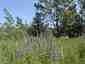 Pocatello Real Estate - MLS #579646 - Photograph #12