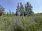 Pocatello Real Estate - MLS #579646 - Photograph #14