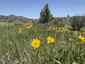 Pocatello Real Estate - MLS #579646 - Photograph #16