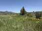 Pocatello Real Estate - MLS #579646 - Photograph #17