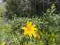 Pocatello Real Estate - MLS #579646 - Photograph #19