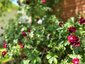 Pocatello Real Estate - MLS #579648 - Photograph #3
