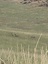 Pocatello Real Estate - MLS #579662 - Photograph #7