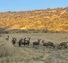 Pocatello Real Estate - MLS #579662 - Photograph #8