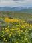 Pocatello Real Estate - MLS #579662 - Photograph #9