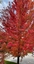 Pocatello Real Estate - MLS #579672 - Photograph #49