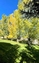 Pocatello Real Estate - MLS #579672 - Photograph #50