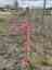 Pocatello Real Estate - MLS #579770 - Photograph #8