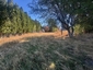 Pocatello Real Estate - MLS #580628 - Photograph #18