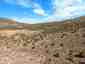 Pocatello Real Estate - MLS #581556 - Photograph #36