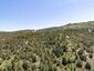 Pocatello Real Estate - MLS #581556 - Photograph #45
