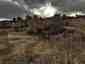 Pocatello Real Estate - MLS #581734 - Photograph #21