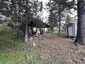 Pocatello Real Estate - MLS #581790 - Photograph #17
