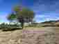 Pocatello Real Estate - MLS #581796 - Photograph #5