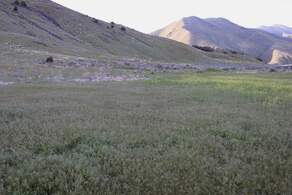 Pocatello Idaho Real Estate