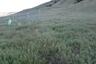 Pocatello Real Estate - MLS #581804 - Photograph #41