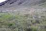 Pocatello Real Estate - MLS #581804 - Photograph #15