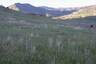 Pocatello Real Estate - MLS #581804 - Photograph #23