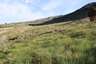 Pocatello Real Estate - MLS #581807 - Photograph #2