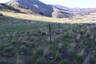 Pocatello Real Estate - MLS #581807 - Photograph #35