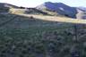 Pocatello Real Estate - MLS #581807 - Photograph #36