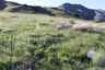 Pocatello Real Estate - MLS #581807 - Photograph #39