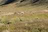Pocatello Real Estate - MLS #581807 - Photograph #10