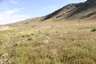 Pocatello Real Estate - MLS #581807 - Photograph #11