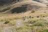 Pocatello Real Estate - MLS #581807 - Photograph #12